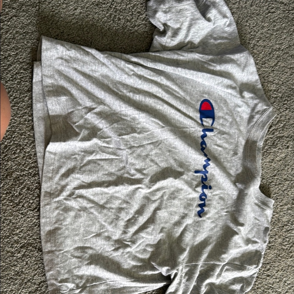 Champion Gray T-Shirt with Logo
